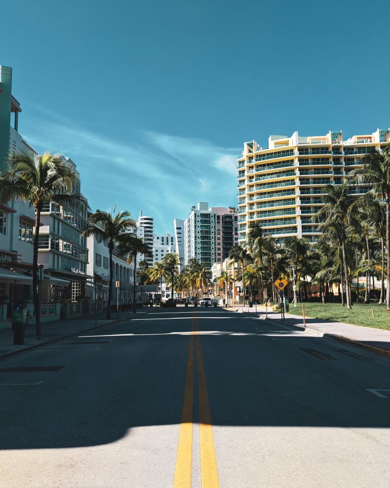 Florida city street with palm trees and high-rise buildings under a clear blue sky